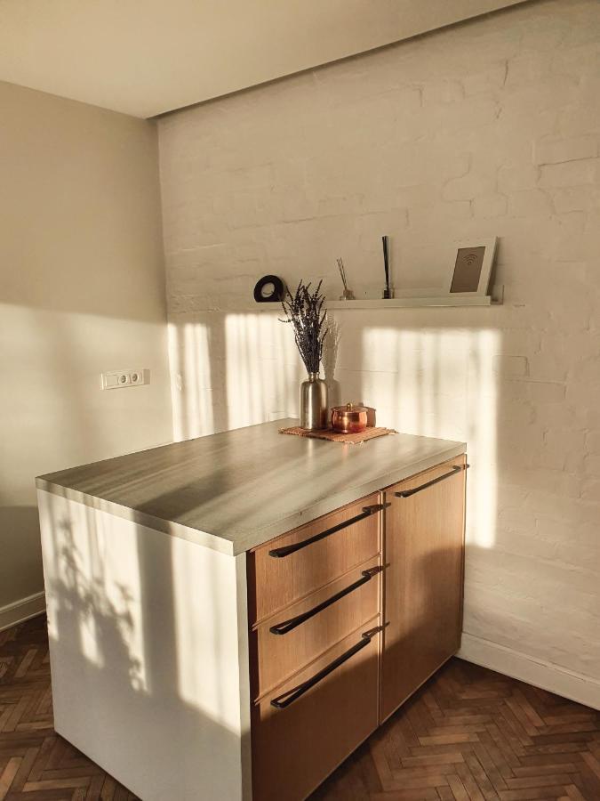 Šiauliai Downtown Apartment Rentals 2 מראה חיצוני תמונה