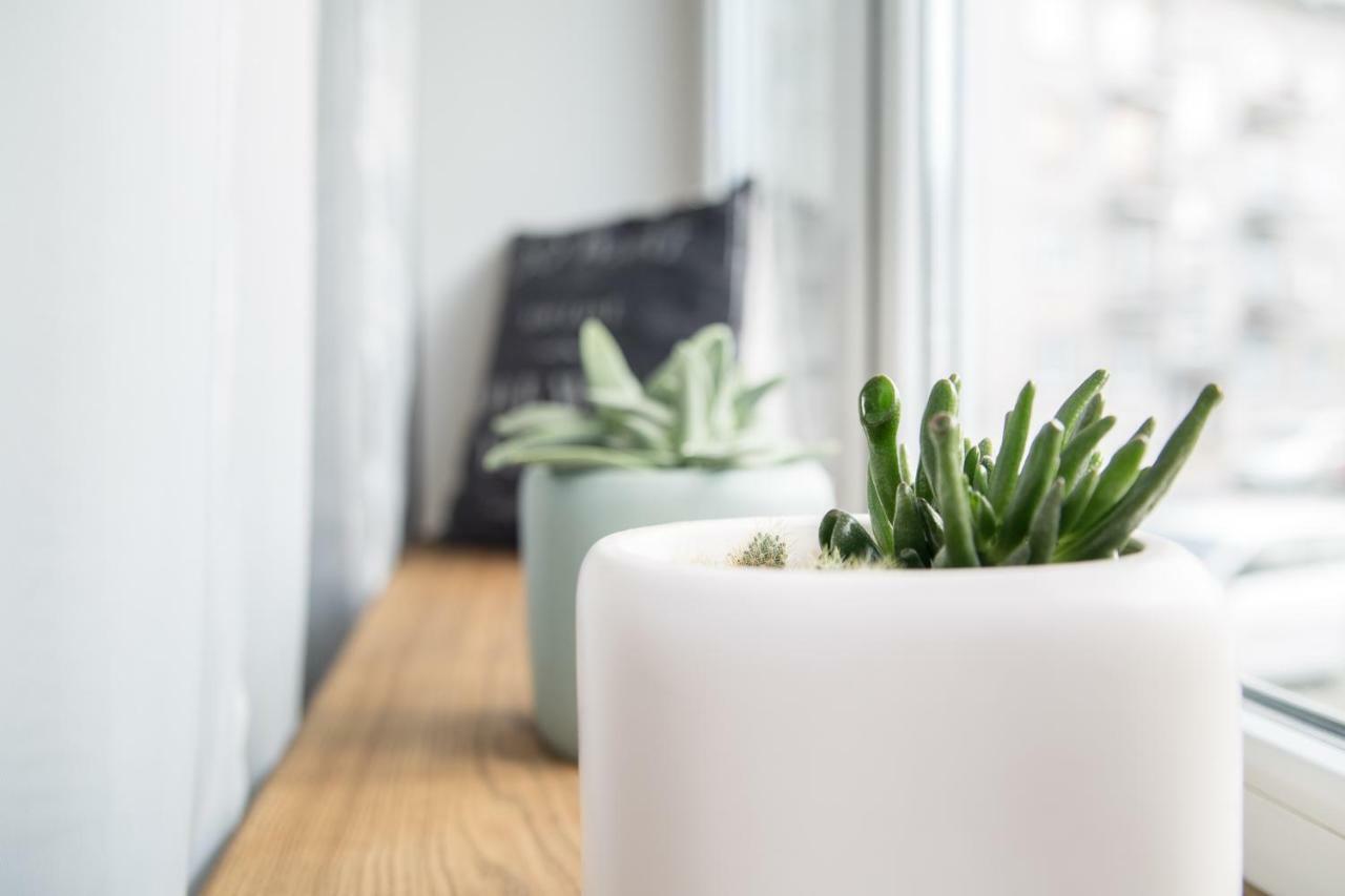 Šiauliai Downtown Apartment Rentals 2 מראה חיצוני תמונה